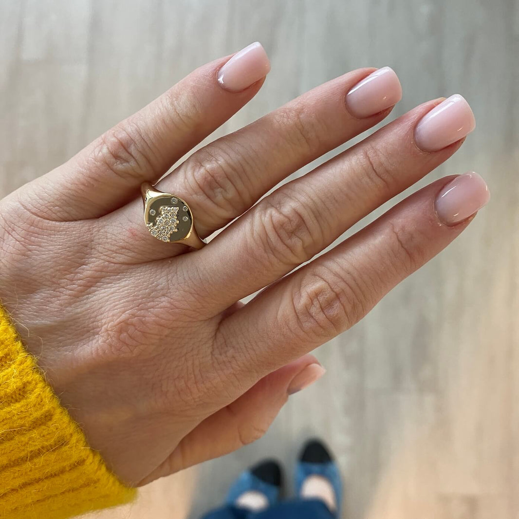 Cynthia Rose Disc Signet Ring
